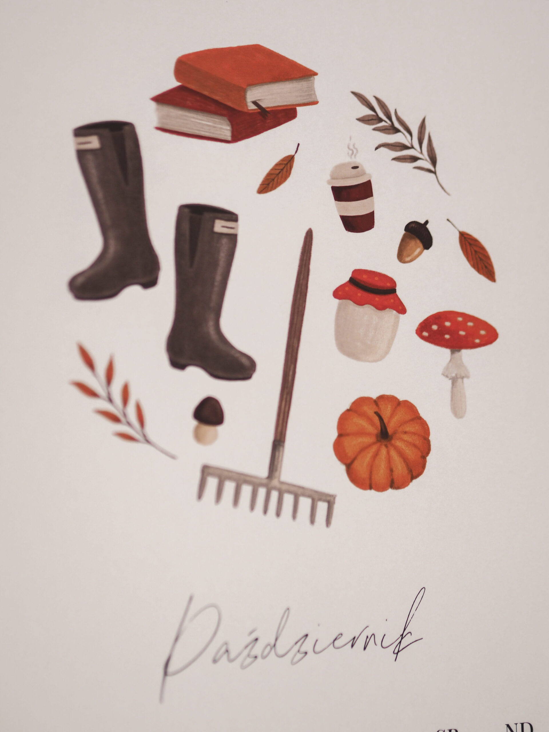 Kalendarz ścienny 2027 MINIMALIFE ilustracje