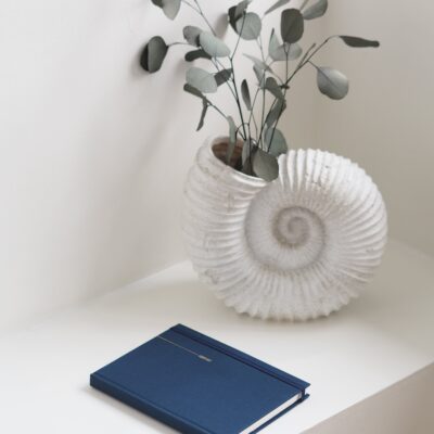 Planner niedatowany Midnight Create