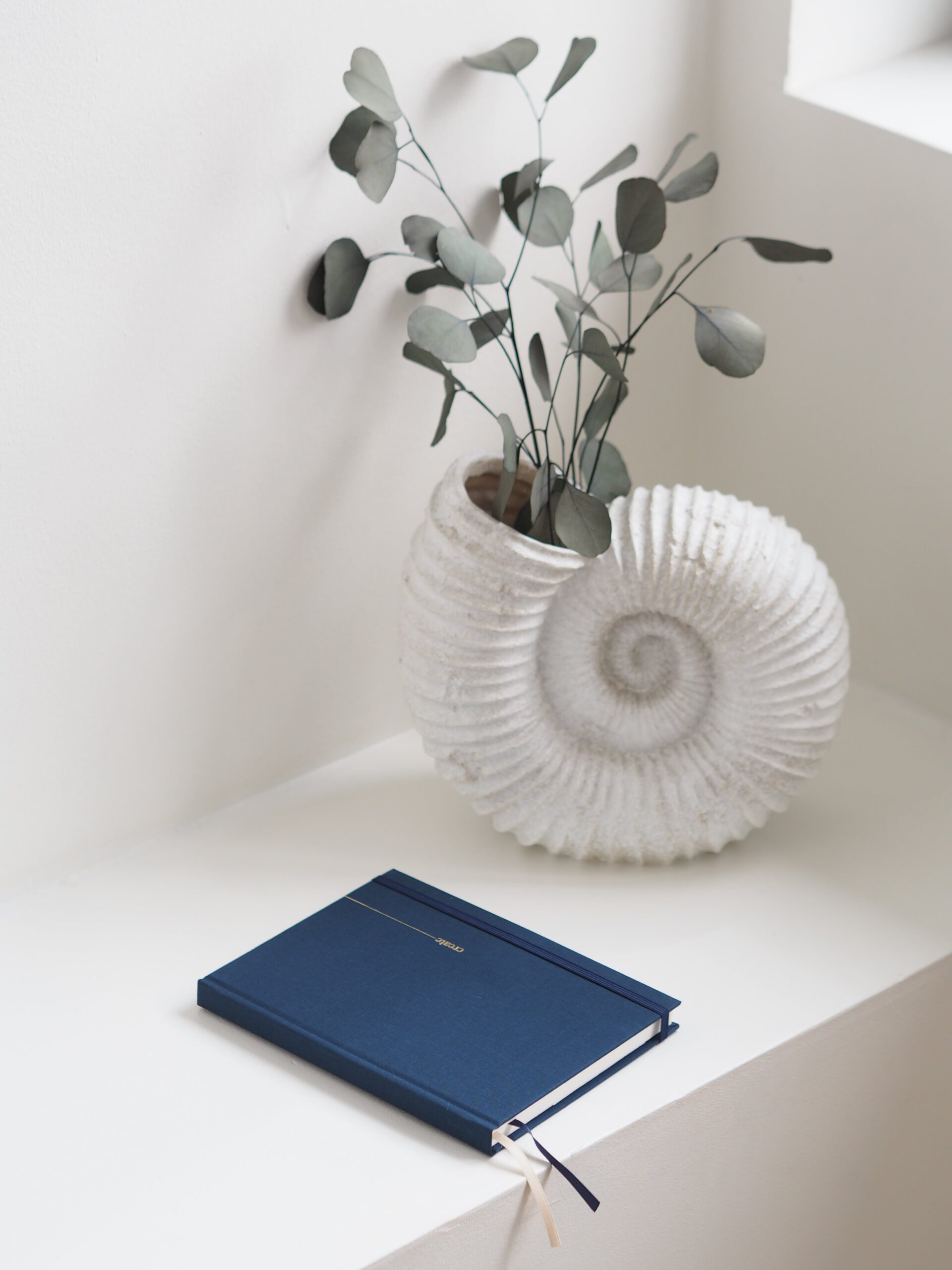 Planner niedatowany Midnight Create - obrazek 2